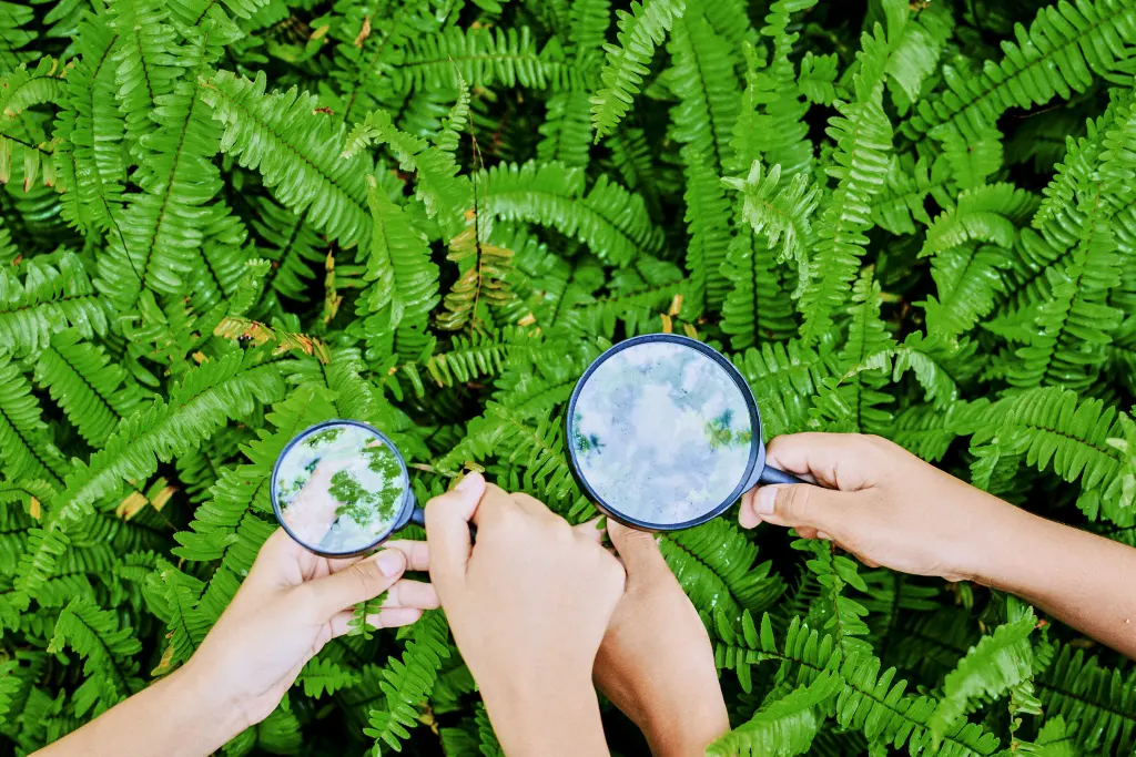 Cuatro manos sosteniendo lupas sobre plantas