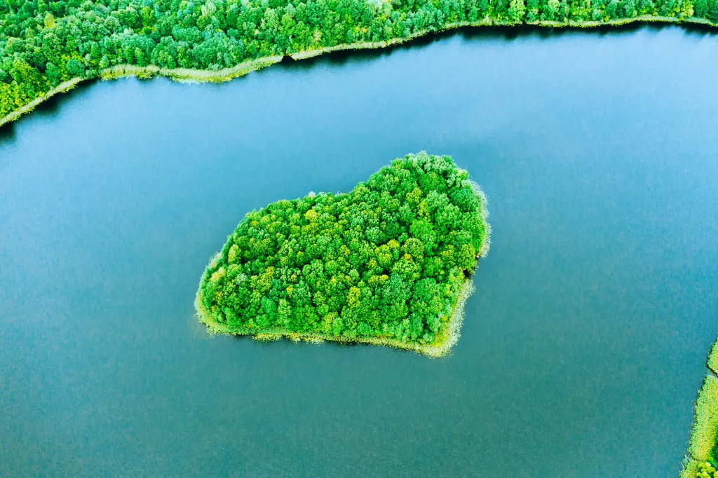 Isla de árboles en medio del mar