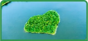 Isla de árboles en medio del mar
