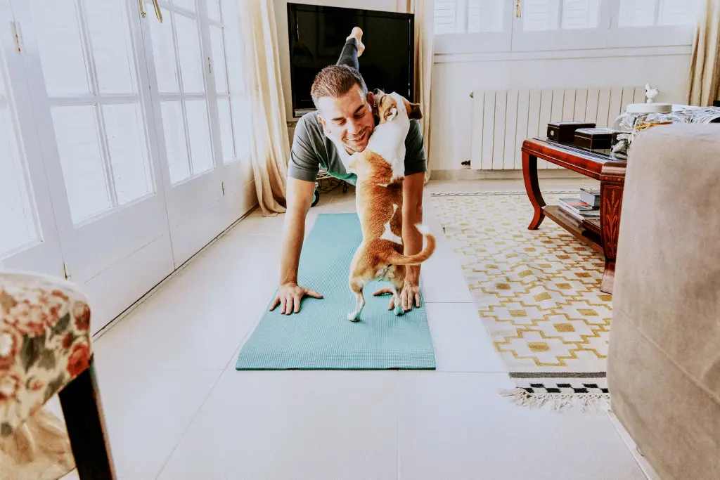 Hombre jugando con un perro